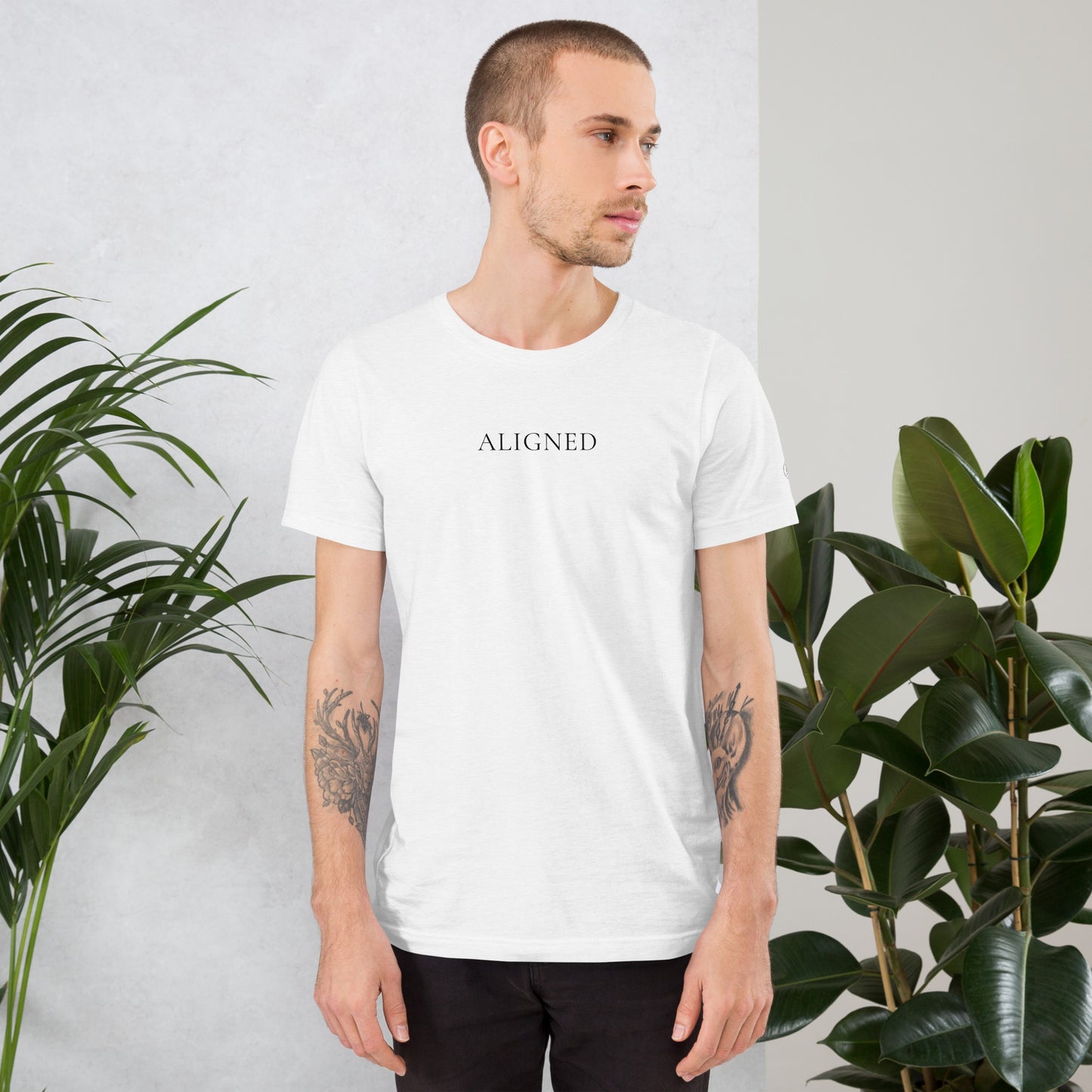 I AM ALIGNED — Light